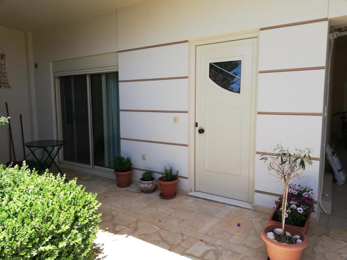 Althea Holiday Studio Agia Marina  Exterior foto